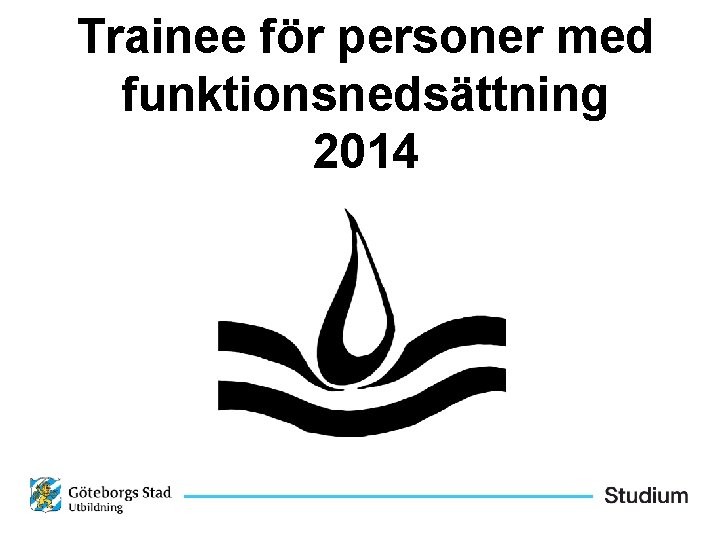 Trainee för personer med funktionsnedsättning 2014 