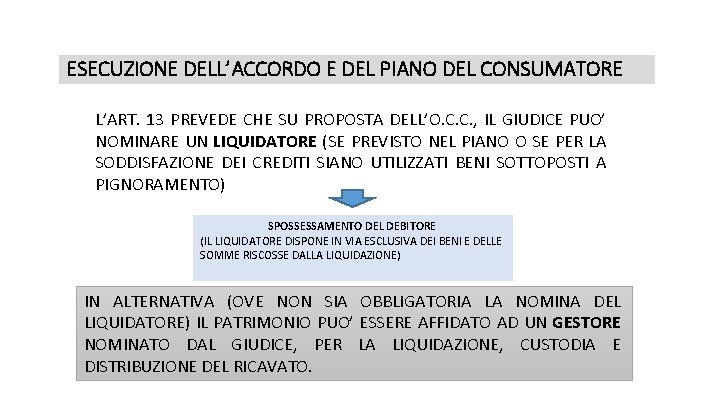 ESECUZIONE DELL’ACCORDO E DEL PIANO DEL CONSUMATORE L’ART. 13 PREVEDE CHE SU PROPOSTA DELL’O.