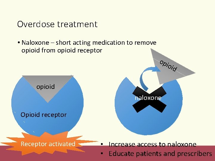 Overdose treatment • Naloxone – short acting medication to remove opioid from opioid receptor