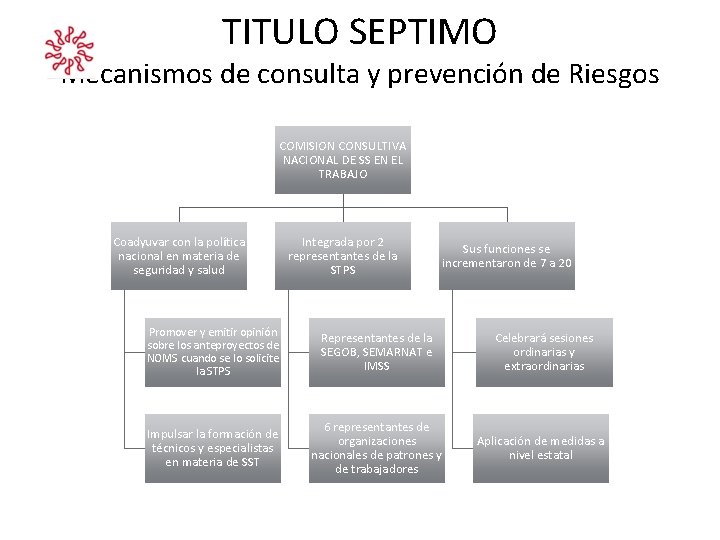 TITULO SEPTIMO Mecanismos de consulta y prevención de Riesgos COMISION CONSULTIVA NACIONAL DE SS TITULO SEPTIMO Mecanismos de consulta y prevención de Riesgos COMISION CONSULTIVA NACIONAL DE SS