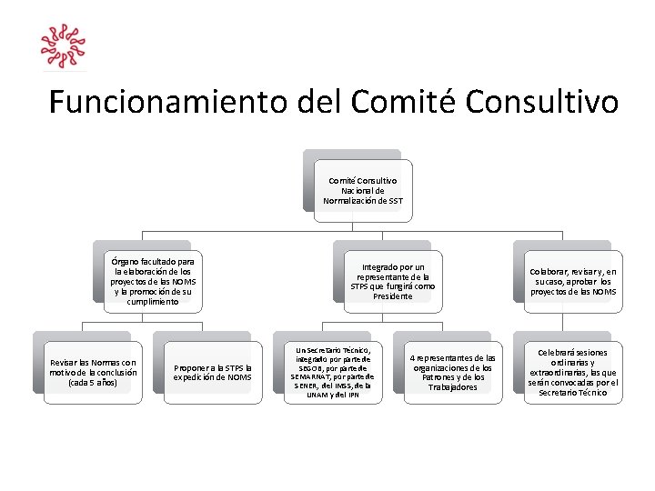 Funcionamiento del Comité Consultivo Nacional de Normalización de SST Órgano facultado para la elaboración Funcionamiento del Comité Consultivo Nacional de Normalización de SST Órgano facultado para la elaboración