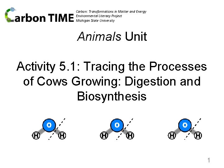 Carbon: Transformations in Matter and Energy Environmental Literacy Project Michigan State University Animals Unit