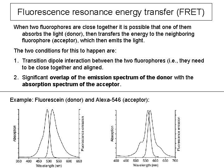 Fluorescence resonance energy transfer (FRET) When two fluorophores are close together it is possible
