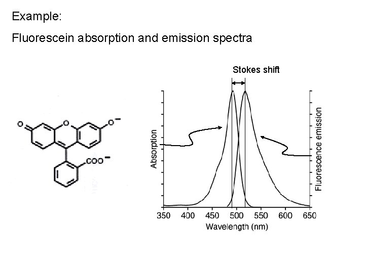 Example: Fluorescein absorption and emission spectra Stokes shift 