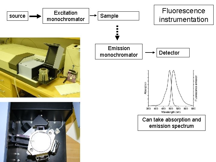 source Excitation monochromator Sample Fluorescence instrumentation Emission monochromator Detector Can take absorption and emission