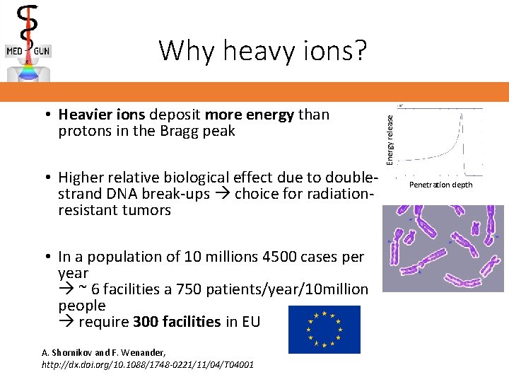  • Heavier ions deposit more energy than protons in the Bragg peak •
