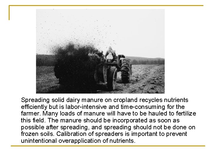 Spreading solid dairy manure on cropland recycles nutrients efficiently but is labor-intensive and time-consuming