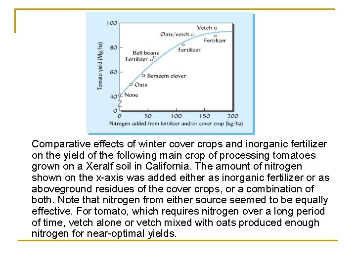 Comparative effects of winter cover crops and inorganic fertilizer on the yield of the