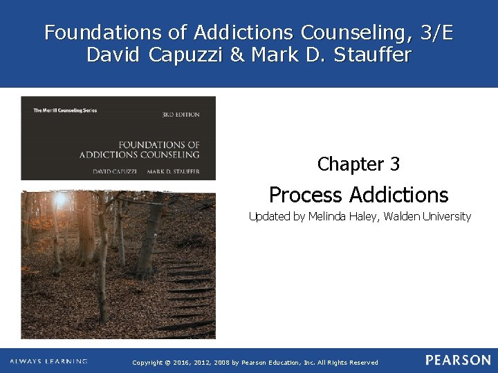 Foundations of Addictions Counseling, 3/E David Capuzzi & Mark D. Stauffer Chapter 3 Process