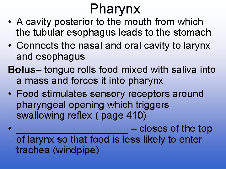 Pharynx • A cavity posterior to the mouth from which the tubular esophagus leads