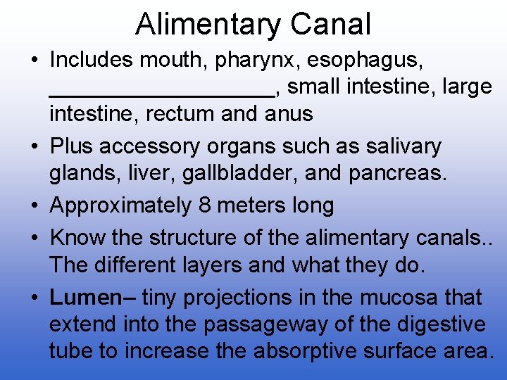 Alimentary Canal • Includes mouth, pharynx, esophagus, _________, small intestine, large intestine, rectum and