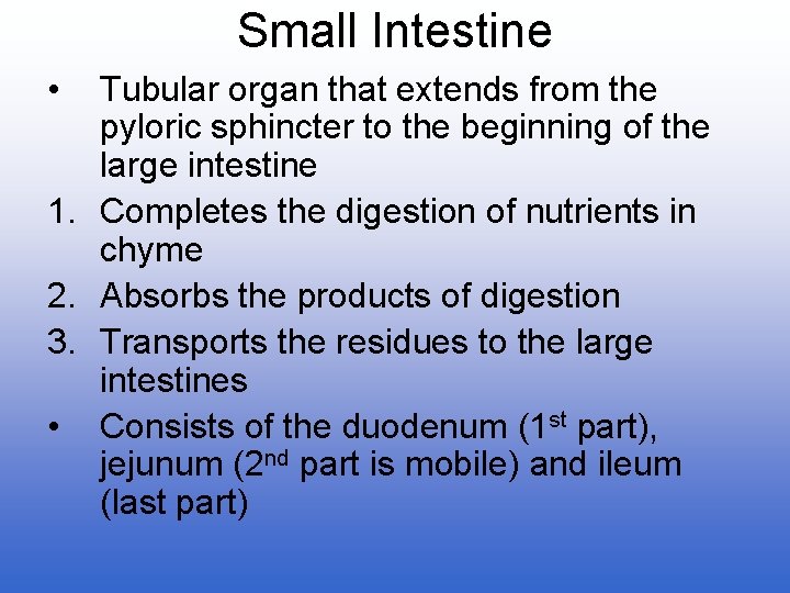 Small Intestine • Tubular organ that extends from the pyloric sphincter to the beginning