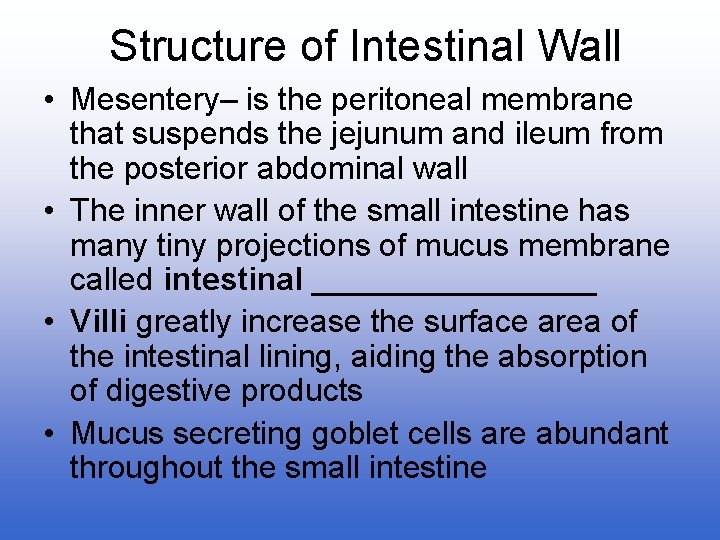 Structure of Intestinal Wall • Mesentery– is the peritoneal membrane that suspends the jejunum