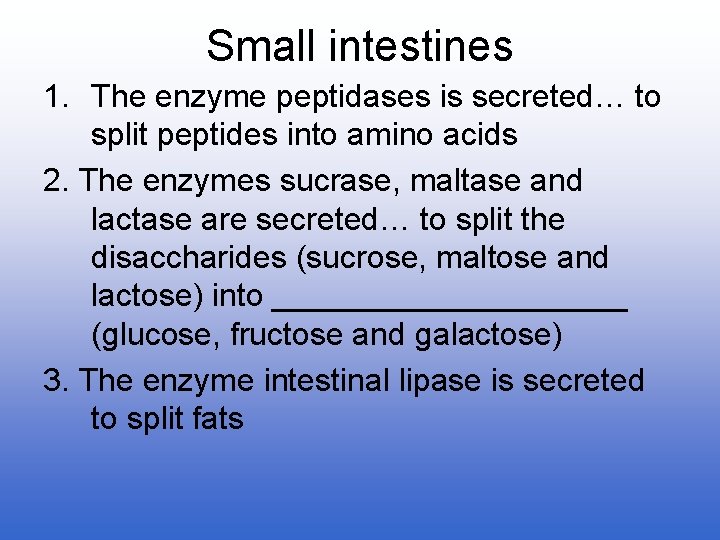 Small intestines 1. The enzyme peptidases is secreted… to split peptides into amino acids