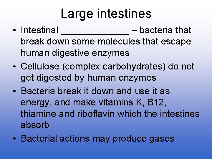 Large intestines • Intestinal _______ – bacteria that break down some molecules that escape