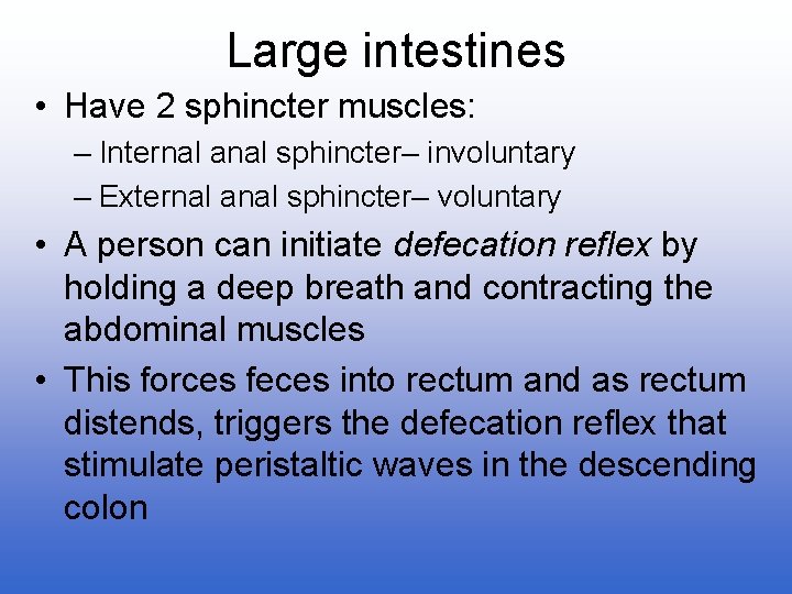 Large intestines • Have 2 sphincter muscles: – Internal anal sphincter– involuntary – External