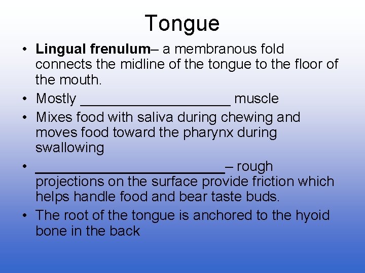 Tongue • Lingual frenulum– a membranous fold connects the midline of the tongue to