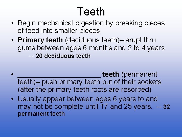 Teeth • Begin mechanical digestion by breaking pieces of food into smaller pieces •