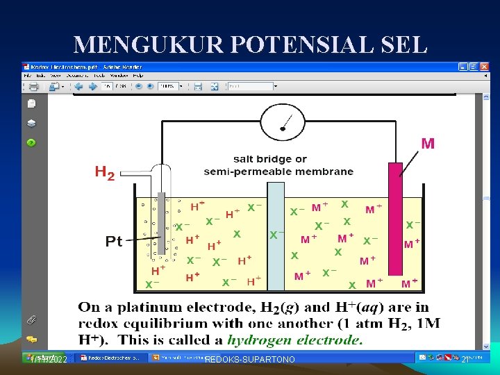 MENGUKUR POTENSIAL SEL 1/11/2022 REDOKS-SUPARTONO 21 