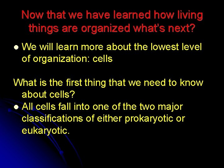 Now that we have learned how living things are organized what’s next? l We