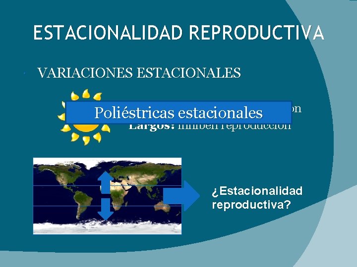 ESTACIONALIDAD REPRODUCTIVA VARIACIONES ESTACIONALES Cortos: estimulan reproducción Poliéstricas estacionales Largos: inhiben reproducción ¿Estacionalidad reproductiva?