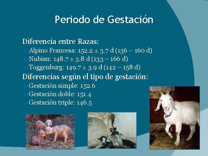 Periodo de Gestación Diferencia entre Razas: Alpino Francesa: 152. 2 ± 3. 7 d