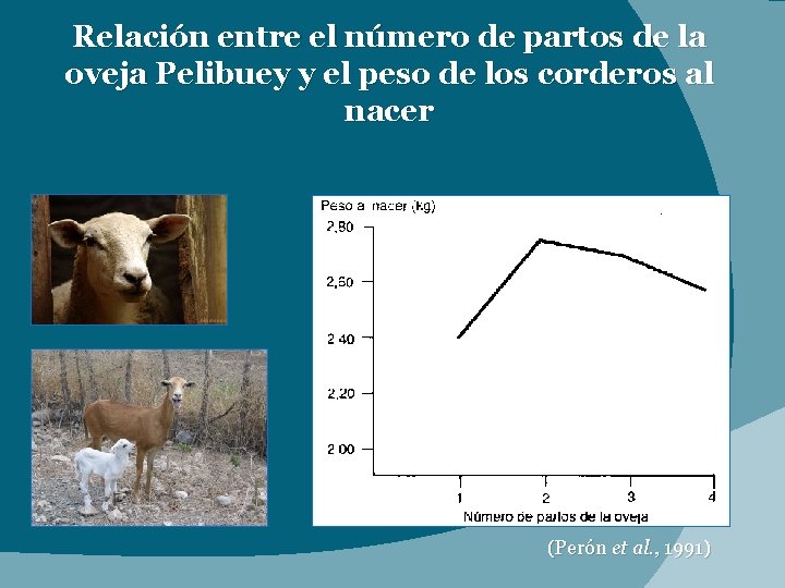 Relación entre el número de partos de la oveja Pelibuey y el peso de