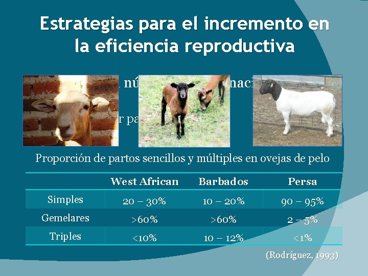 Estrategias para el incremento en la eficiencia reproductiva Aumento del número de crías nacidas