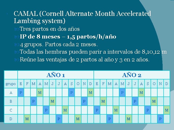 CAMAL (Cornell Alternate Month Accelerated Lambing system) Tres partos en dos años IP de