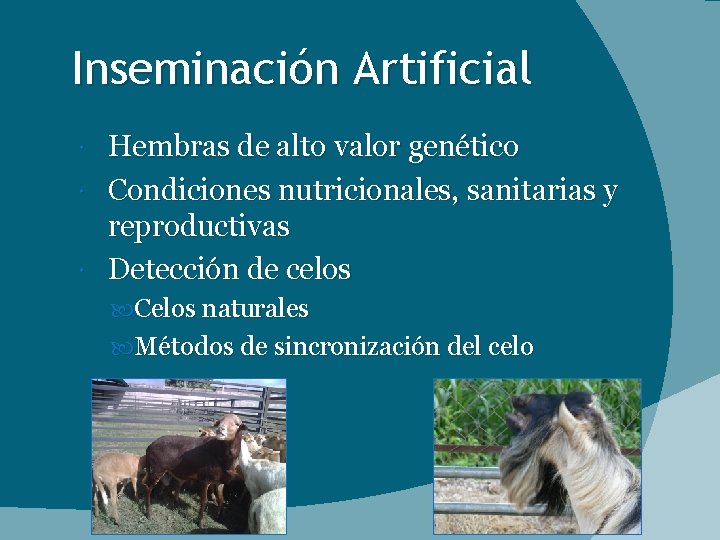 Inseminación Artificial Hembras de alto valor genético Condiciones nutricionales, sanitarias y reproductivas Detección de