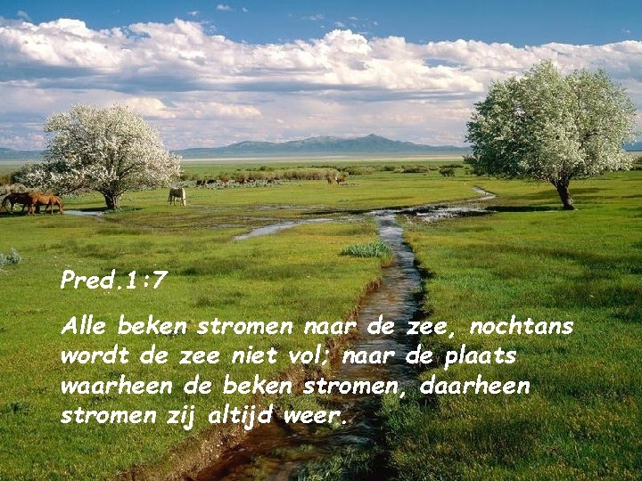 Pred. 1: 7 Alle beken stromen naar de zee, nochtans wordt de zee niet