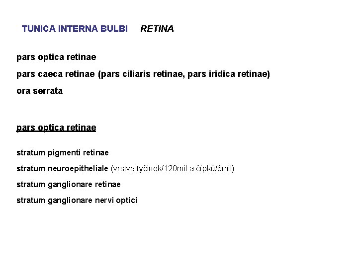 TUNICA INTERNA BULBI RETINA pars optica retinae pars caeca retinae (pars ciliaris retinae, pars