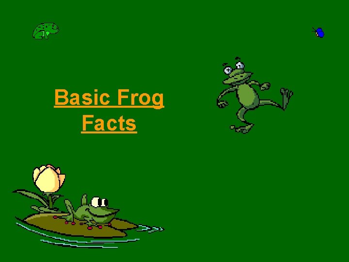 Basic Frog Facts 