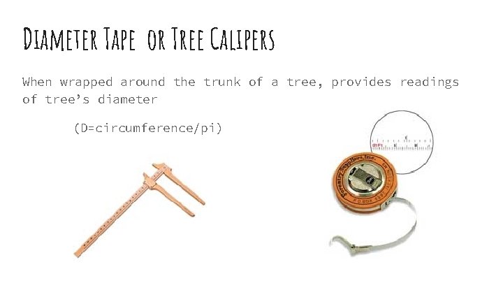 Diameter Tape or Tree Calipers When wrapped around the trunk of a tree, provides