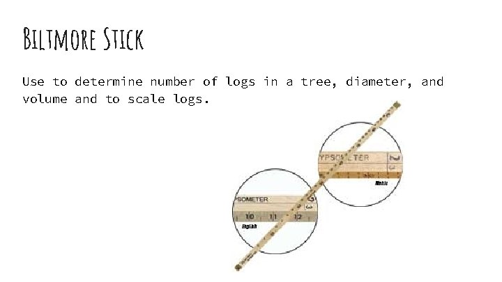 Biltmore Stick Use to determine number of logs in a tree, diameter, and volume