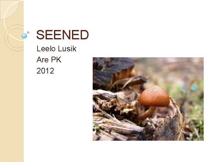 SEENED Leelo Lusik Are PK 2012 
