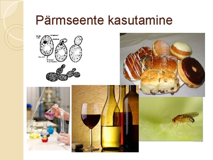 Pärmseente kasutamine 