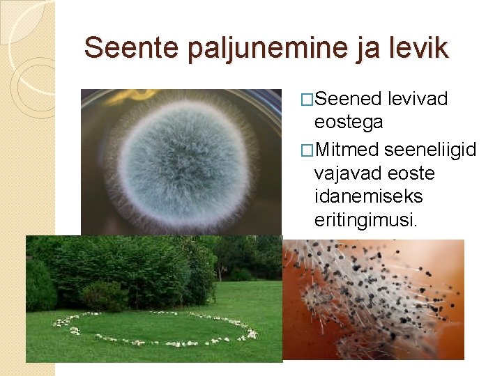 Seente paljunemine ja levik �Seened levivad eostega �Mitmed seeneliigid vajavad eoste idanemiseks eritingimusi. 