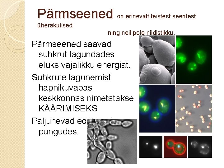 Pärmseened on erinevalt teistest seentest üherakulised ning neil pole niidistikku. Pärmseened saavad suhkrut lagundades