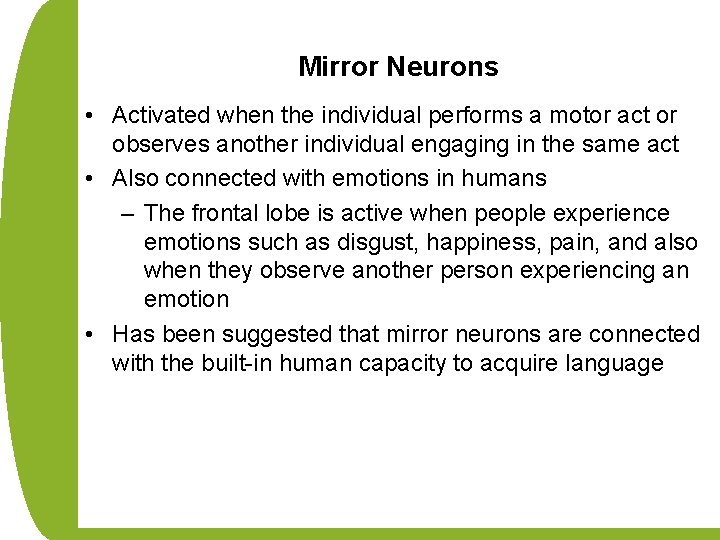 Mirror Neurons • Activated when the individual performs a motor act or observes another