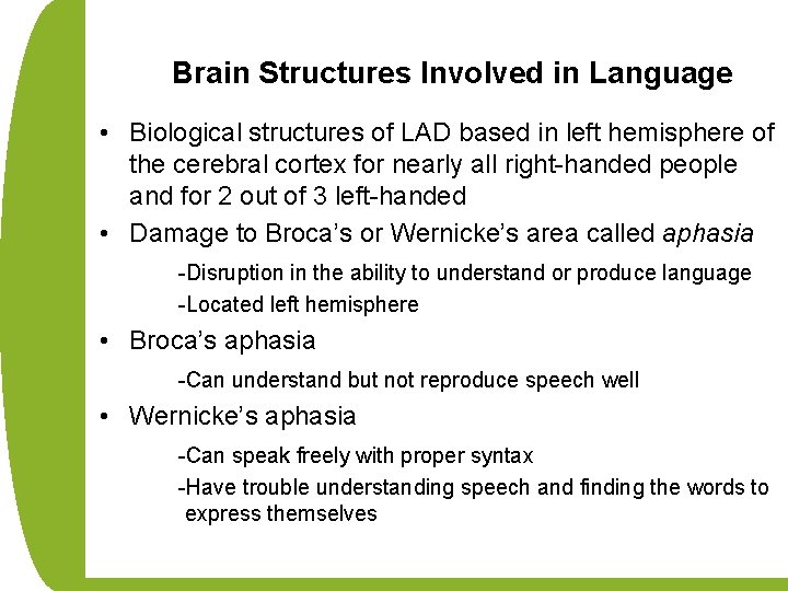 Brain Structures Involved in Language • Biological structures of LAD based in left hemisphere