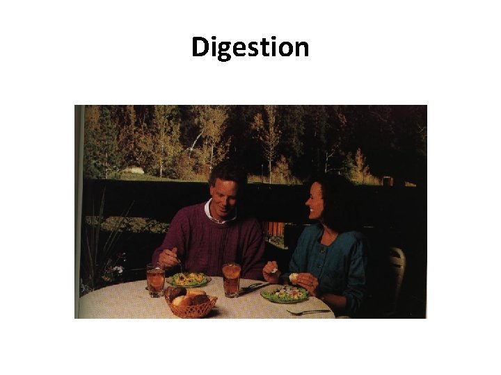 Digestion Digestion