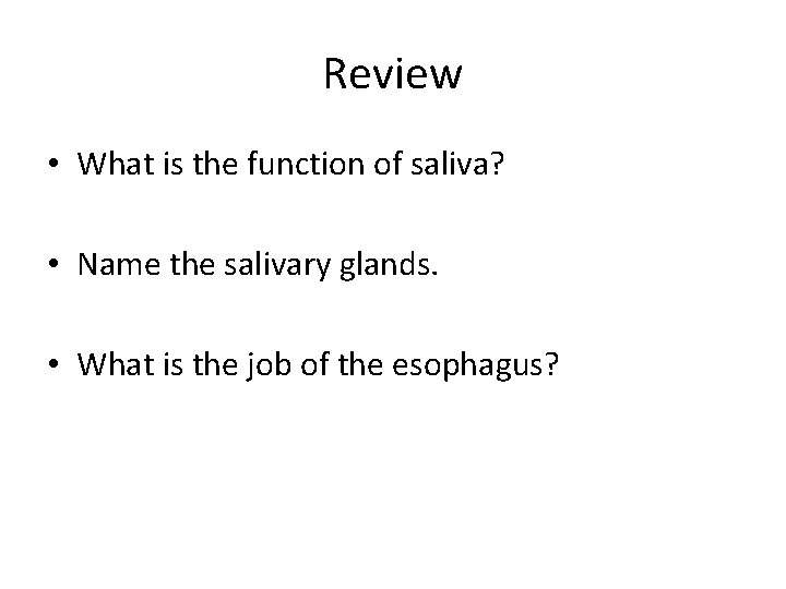 Review • What is the function of saliva? • Name the salivary glands. • Review • What is the function of saliva? • Name the salivary glands. •