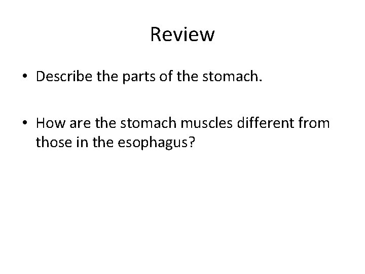 Review • Describe the parts of the stomach. • How are the stomach muscles Review • Describe the parts of the stomach. • How are the stomach muscles