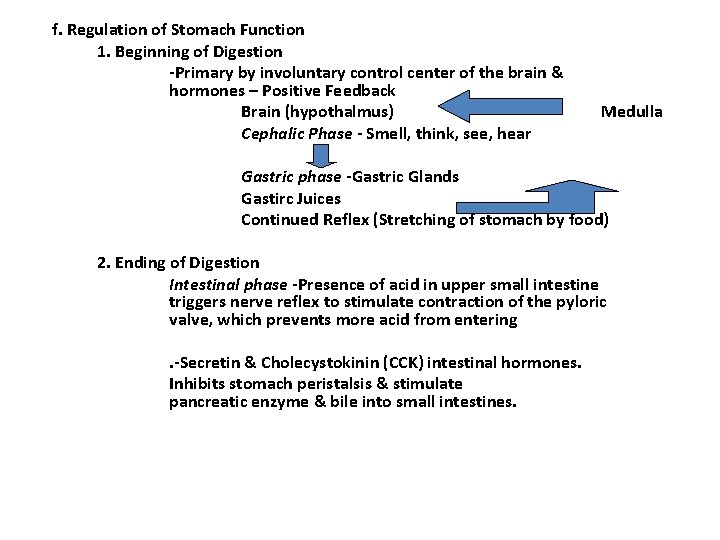 f. Regulation of Stomach Function 1. Beginning of Digestion -Primary by involuntary control center f. Regulation of Stomach Function 1. Beginning of Digestion -Primary by involuntary control center