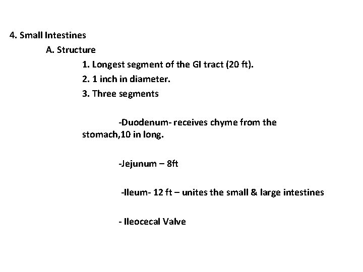 4. Small Intestines A. Structure 1. Longest segment of the GI tract (20 ft). 4. Small Intestines A. Structure 1. Longest segment of the GI tract (20 ft).