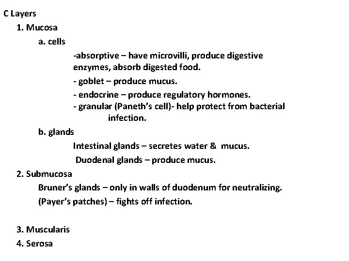 C Layers 1. Mucosa a. cells -absorptive – have microvilli, produce digestive enzymes, absorb C Layers 1. Mucosa a. cells -absorptive – have microvilli, produce digestive enzymes, absorb