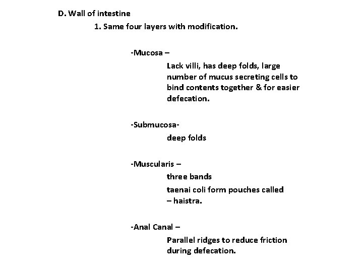 D. Wall of intestine 1. Same four layers with modification. -Mucosa – Lack villi, D. Wall of intestine 1. Same four layers with modification. -Mucosa – Lack villi,