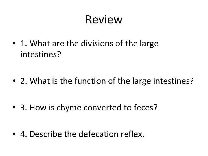 Review • 1. What are the divisions of the large intestines? • 2. What Review • 1. What are the divisions of the large intestines? • 2. What