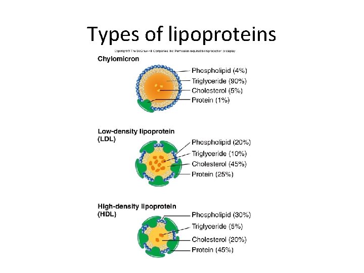Types of lipoproteins Types of lipoproteins